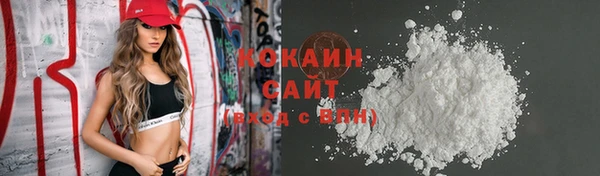 кокс Елизово