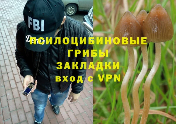 круглые Гусь-Хрустальный