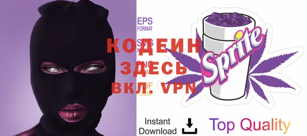 молекула духа Няндома