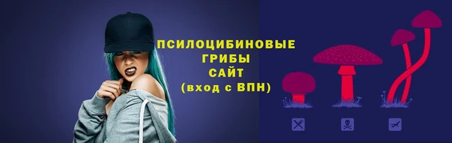 спайс Дмитровск