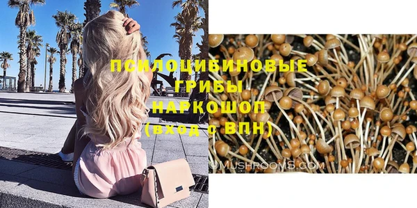 кристаллы Нягань