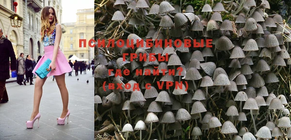молекула духа Няндома