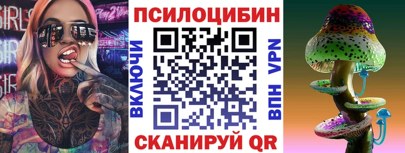 купить закладку  Бородино  Псилоцибиновые грибы Psilocybe 